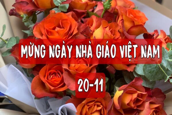 Hoa tặng cô ngày 20/11