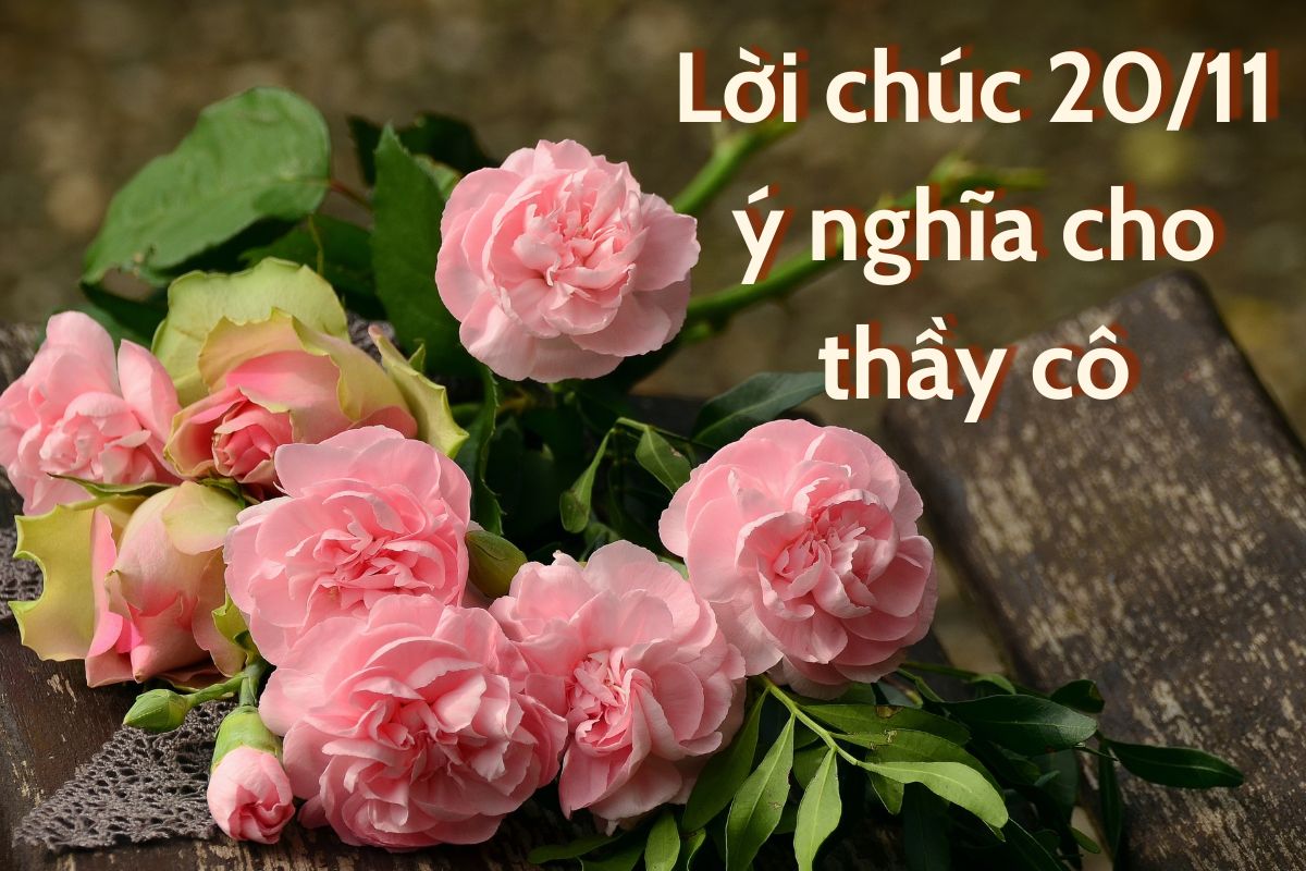 Lời chúc 20/11 ý nghĩa cho thầy cô